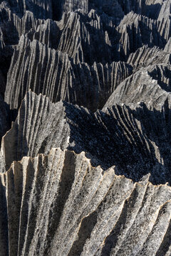 Close-up of sharp tsingy limestone pinnacles, Petit Tsingy, Madagascar