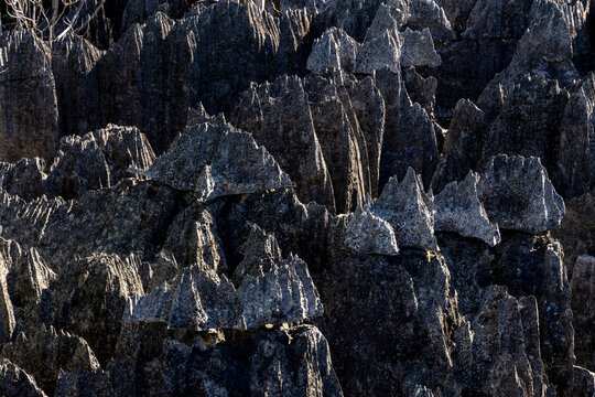 Sunlit spikes of jagged tsingy limestone, Petit Tsingy, Madagascar