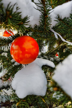 A decorated tree stands in the snow, showing a bright red ornament among white snow. This scene captures the festive spirit of the holiday season