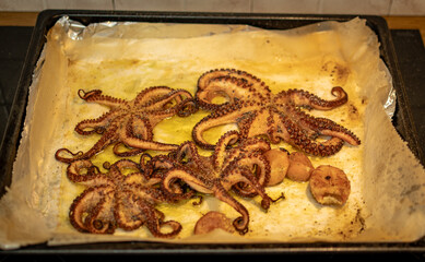 Top view photo of grilled octopus on parchment paper in a pan. Food concept. © Lazaros