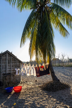 Laundry drying under a palm tree, Belo sur Mer, Madagascar