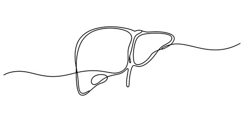 Obraz premium Human liver organ simple one continuous line drawing icon illustration