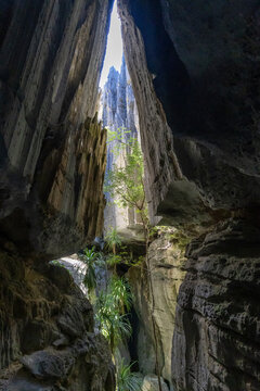 View from inside a cave through a tsingy gap, Grand Tsingy, Madagascar