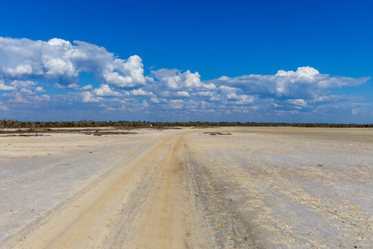Tire tracks crossing a dry salt pan, Morondava, Madagascar