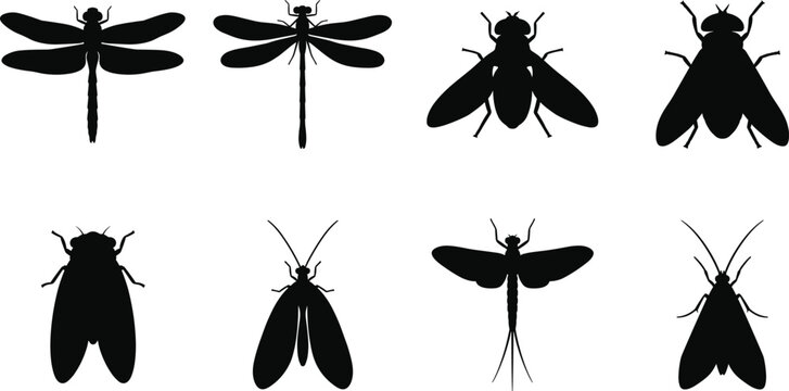 Flying Insect Silhouette Icon Collection with Dragonfly Cicada and Mayfly Symbols for Nature and Science Graphic Design Projects