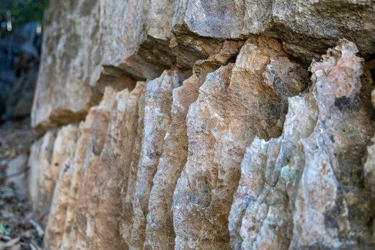 Backlit limestone blades close-up, Petit Tsingy, Madagascar