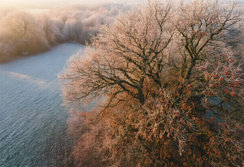 Obraz premium Winter landscape with frost covered trees, seasonal change and climate transition, cold morning sunlight over a frozen meadow in the countryside