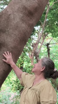 Happy senior asian woman in her 60s enjoy the closeness to nature via large tree in urban park during summer, vertical video