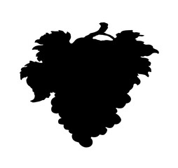 Obraz premium Bunch of grapes. Vector drawing