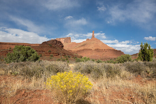 View of Castle Valley Drive with red rock formations, desert landscape, and yellow wildflowers in Grand County, Utah, United States.