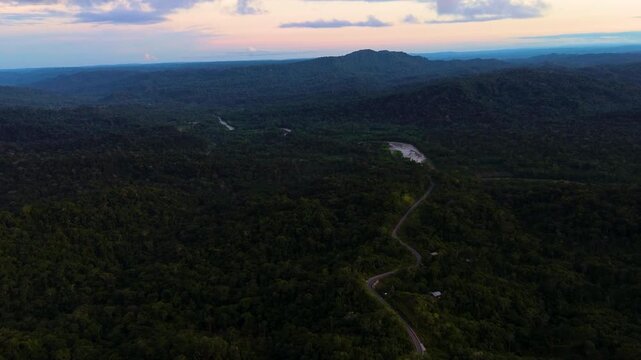 A winding paved road and pale river cross a vast tropical rainforest beneath a softly coloured evening sky. The elevated landscape highlights remote transport, freshwater habitat and regional connecti
