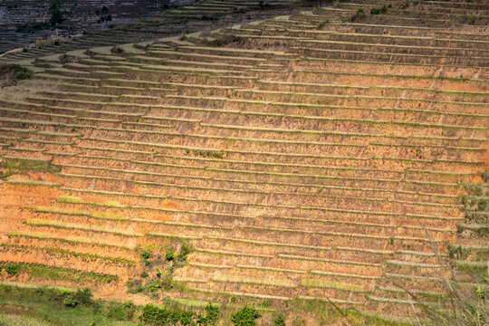 Terraced fields, Ambalavao, Madagascar
