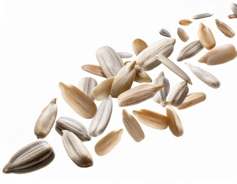 peeled sunflower seeds falling in motion organic hulled sunflower kernels healthy vegan snack ingredients for cooking and baking isolated with white background