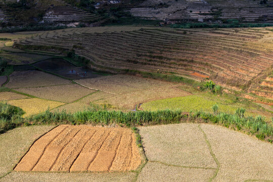 Aerial view of terraced rice fields, Ambalavao, Madagascar
