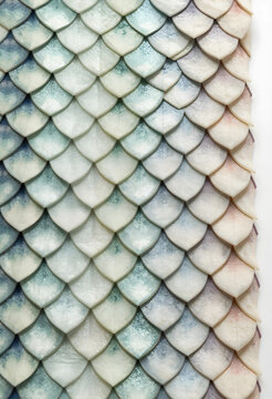 Biomimicry and sustainable design, organic fish scale pattern with gradient texture and soft pastel colors for modern architectural surface background