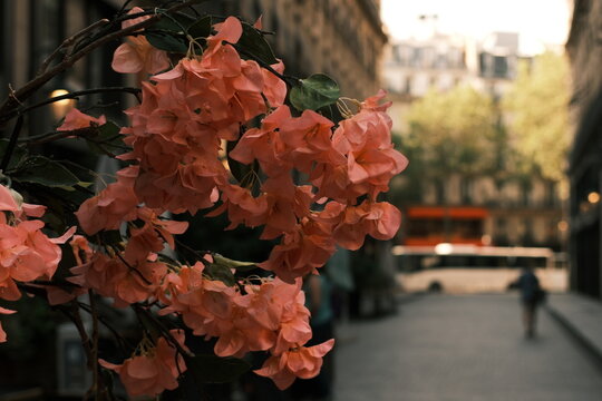 Paris, France
