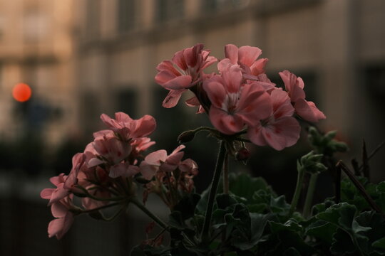 Paris, France