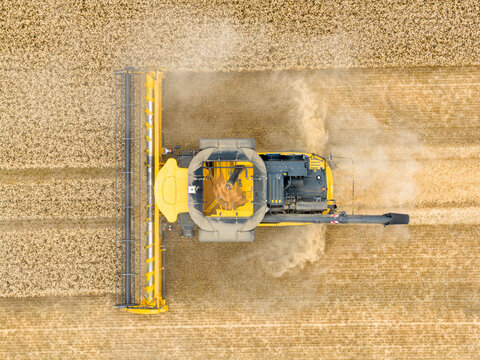 Aerial of a combine harvester in a grain fiel