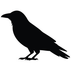 Obraz premium Minimalist crow silhouette vector illustration for halloween and dark nature design work.