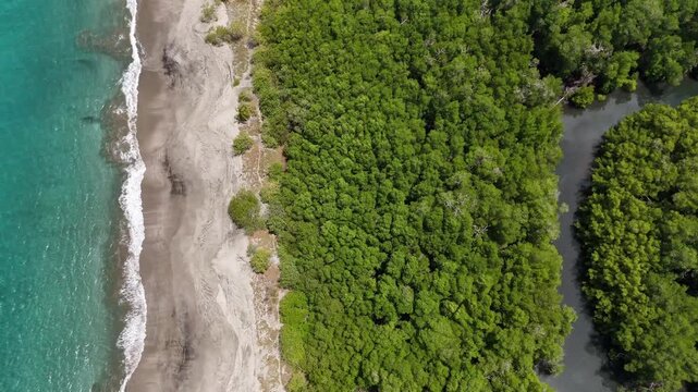 Aerial view of tropical beach, turquoise ocean and mangrove forest in Playa Cabuyal, Costa Rica