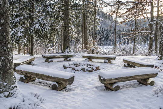 A snow-covered outdoor classroom with circular wooden seating