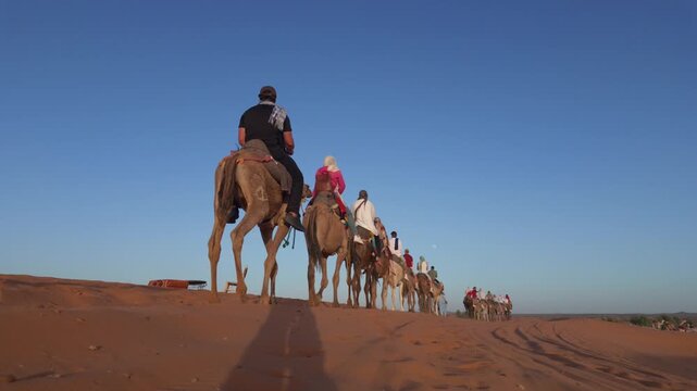 Camel caravan with tourists riding on dromedaries crossing the arid sahara desert dunes on a tour, trekking through the orange sand under a clear blue sky at sunset