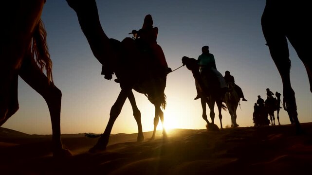 Camel caravan silhouette traveling through the sahara desert at sunset with riders, creating a scenic and adventurous travel background with golden sun flare over the dunes