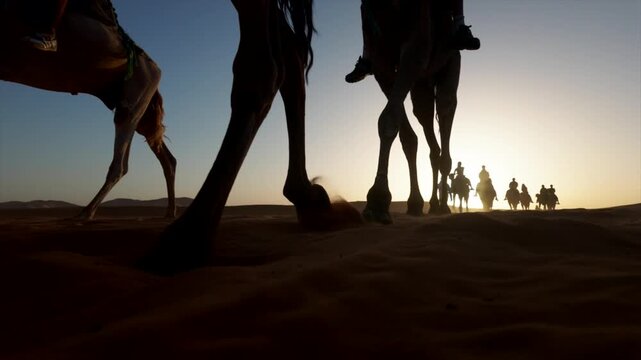 Low-angle view of a majestic camel caravan walking through the sahara desert sand dunes at sunset with people riding, showcasing the beauty of moroccan landscapes