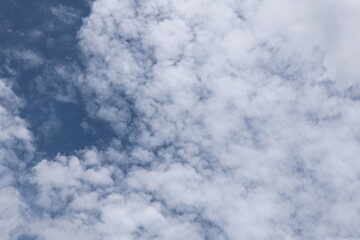Altocumulus or Cirrocumulus clouds are scattered across the sky, forming patches or rippling bands that resemble cotton tufts or fish scales, with patches of blue sky still visible between them.  © Vanchuree