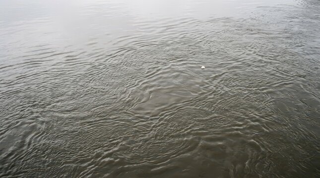 Close-up View of Murky River Water Surface with Gentle Ripples and a Small White Floating Object