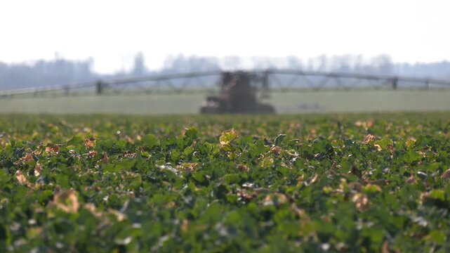 Modern agricultural technologies. Industrial production of agricultural crops. Close-up of an automatic irrigation system in a field. Equipment for industrial irrigation