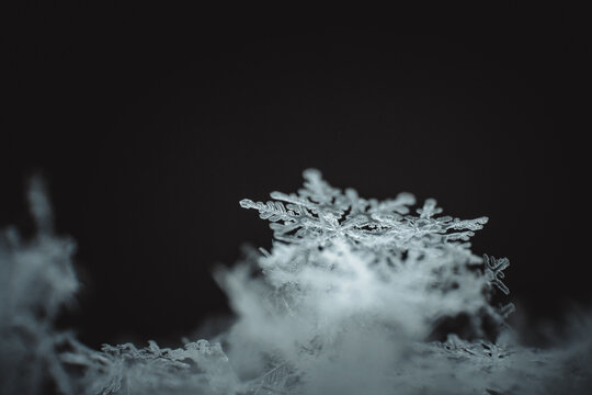 Macro photography of a single detailed snowflake and ice crystal against a dark background