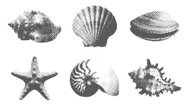 Seashells collection various types starfish scallop nautilus conch clam retro halftone dot texture illustration design element