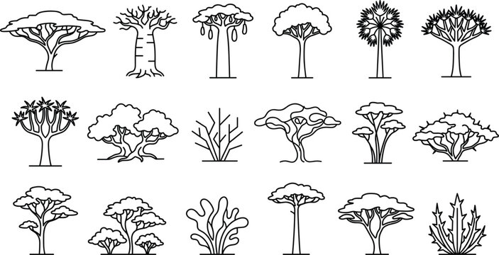 African tree minimal line icon set featuring acacia baobab desert plants savanna flora wild nature and landscape vector symbols