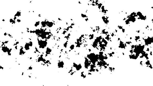 White ink spreading and splashing across black background dramatic liquid bloom, flowing paint streams, watercolor, abstract grunge brush effects, cinematic 4K transition
