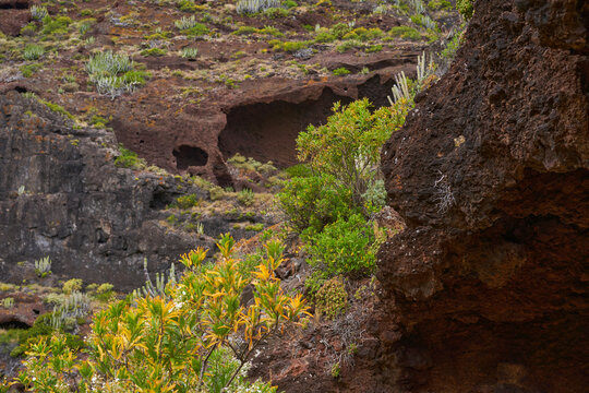Volcanic caves and guaydil, Tenerife