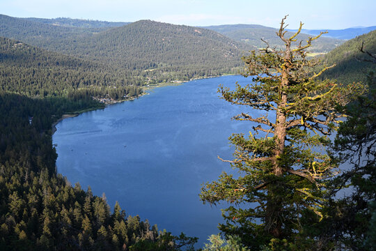 Paul Lake Provincial Park in British Columbia, Canada.