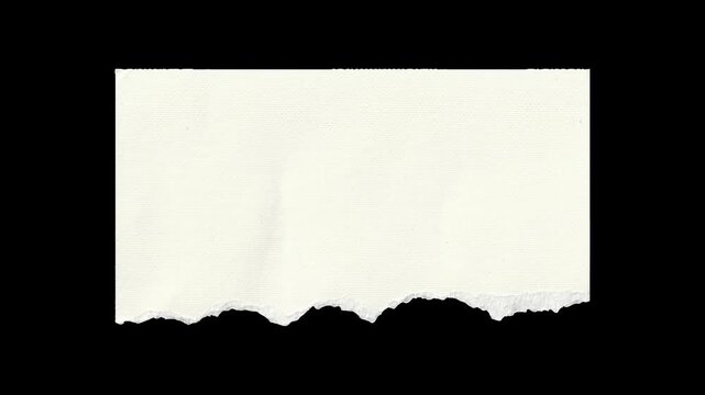 Animated White Torn Paper Rip Ripped Edge Sheet Texture Motion Graphics Overlay with Alpha Channel