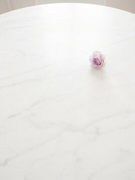 Single delicate rose on marble tabletop with clean copy space for branding