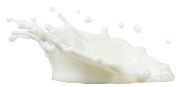 Crown shaped milk splash isolated on a white background. Clipping Path.