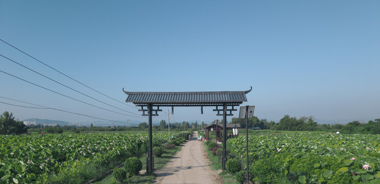 Traditional Chinese gate and lotus pond walkway in summer countryside