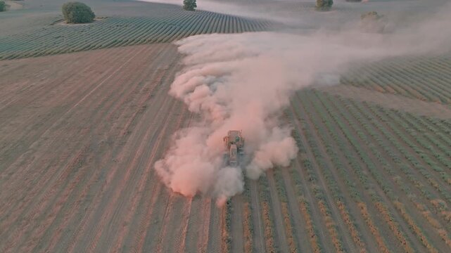 Aerial view of a tractor harvesting lavender fields and creating a large dust cloud in the rural landscape of Brihuega, Castile-La Mancha, Spain.