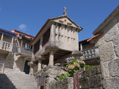 View of a traditional stone horreo granary with a cross on top, surrounded by historic stone architecture and hydrangea flowers in Combarro, Pontevedra, Spain.
