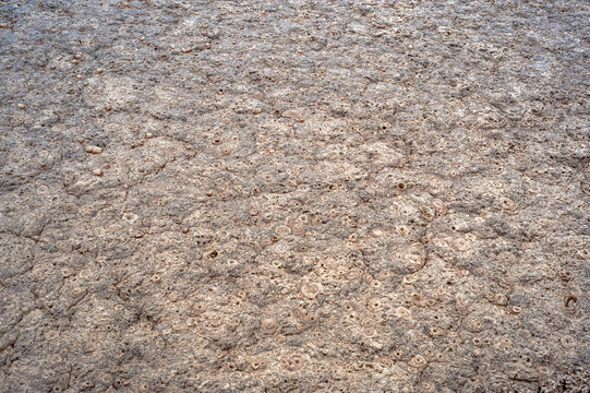 Macro background texture of bubbling sludge in a wastewater treatment plant. Abstract organic surface with craters and mud patterns, illustrating environmental pollution and industrial water filtratio