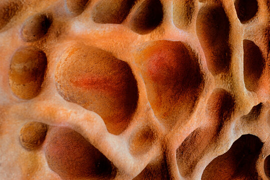 Natural honeycomb weathering pattern on sandstone rock surface at Getxo cliffs Basque Country Spain, close up texture background
