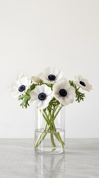 White Anemones with Dark Centers in a Glass Cylinder Vase on a Grey Surface
