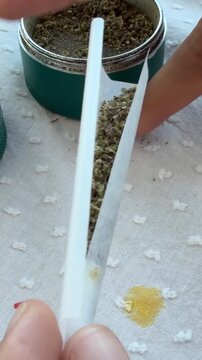 Hands filling rolling paper with dried herb