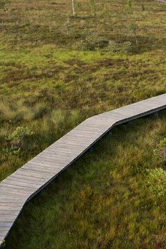 Wooden boardwalk path winding through a natural peatland bog. Ecotourism infrastructure, wetland conservation and hiking trail concept.