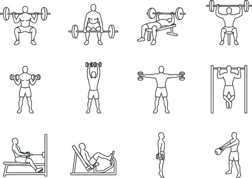 Gym exercise icons set featuring various weightlifting and fitness activities in a clean minimalist vector line art style