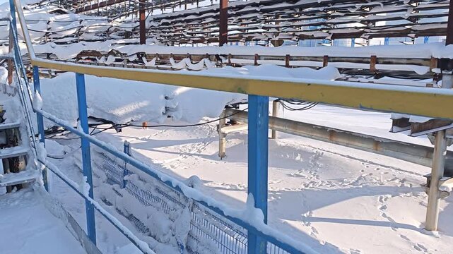 Industrial walkway remains buried in snow beside metal stairs, pipes and railings. Winter covered service path feels quiet and severe, with frost weighing down plant structure in clear light.